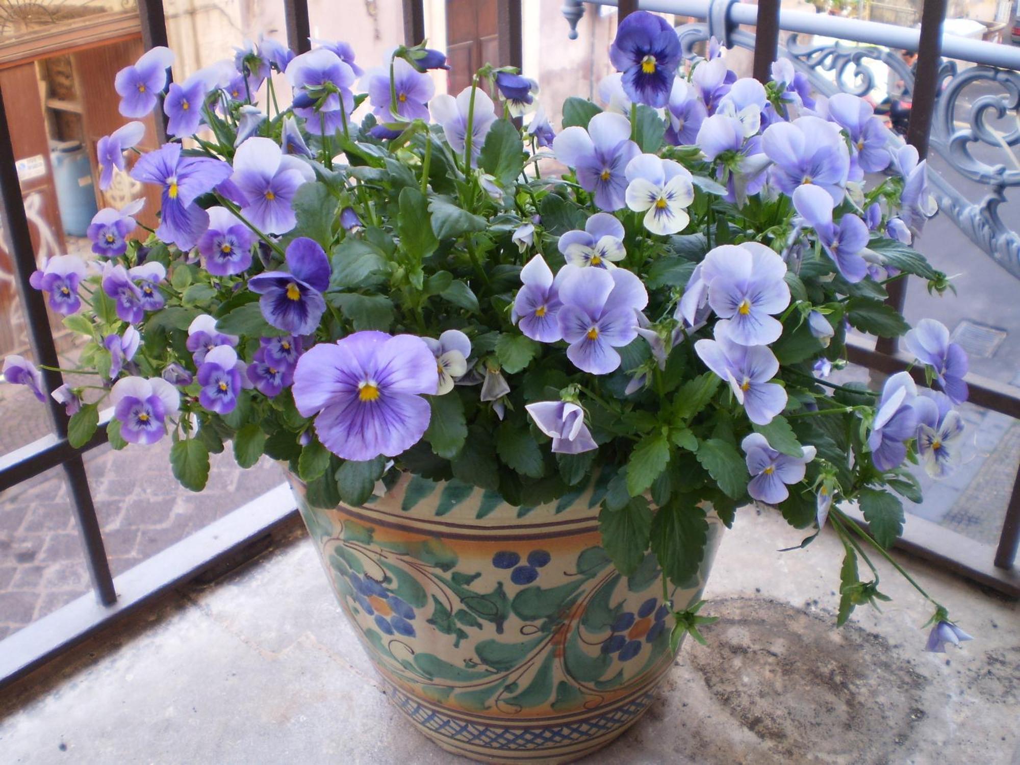 Bed & Breakfast Crociferi Catania